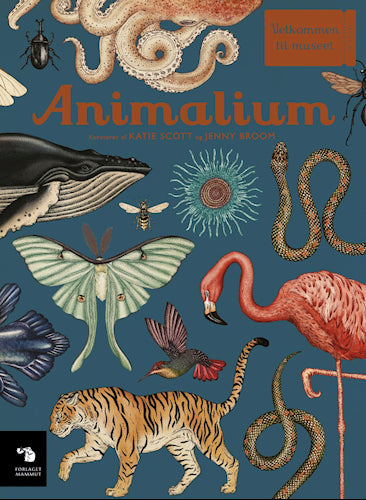 Animalium