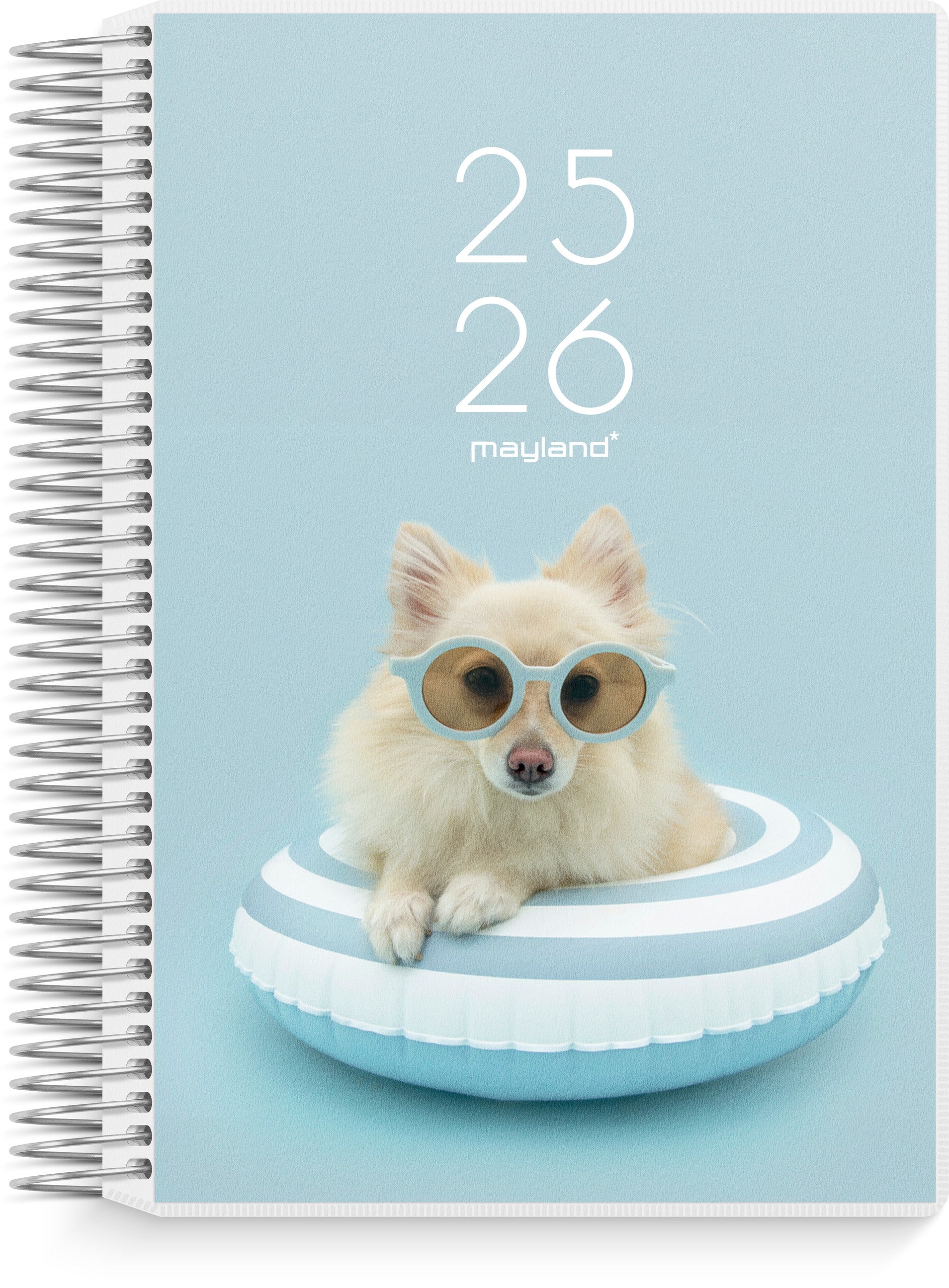 Studie Stor 2i1 m/klap dagkalender 2025/2026