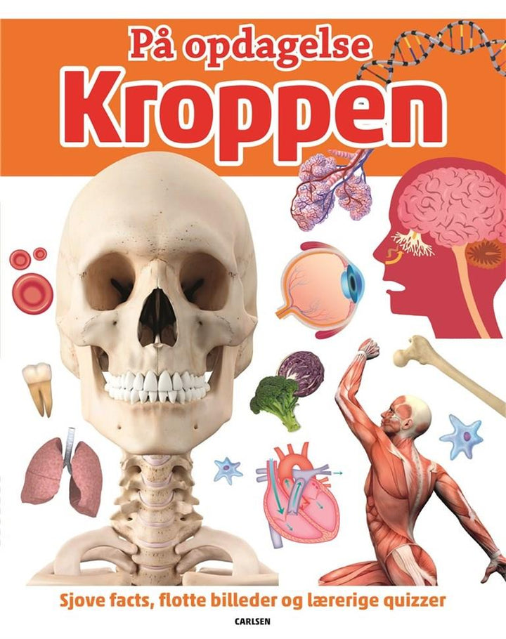 På opdagelse! Kroppen