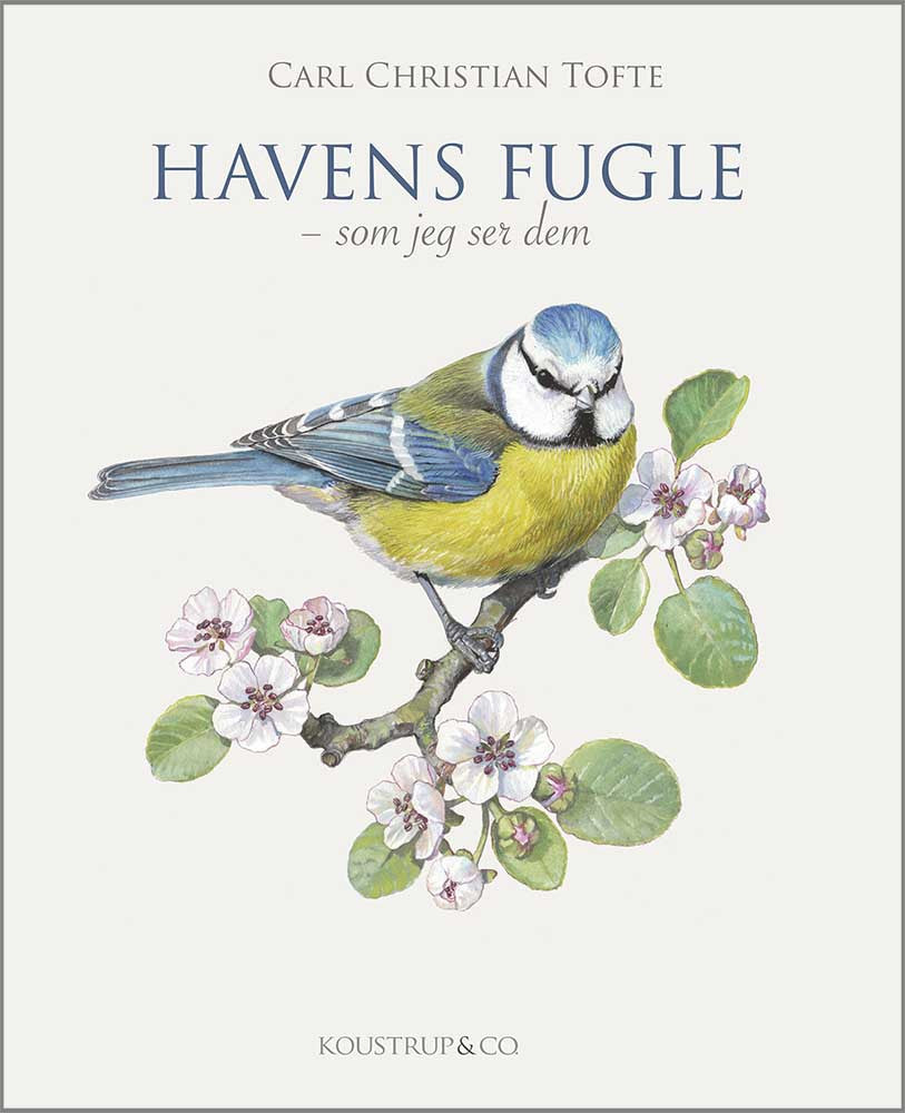 HAVENS FUGLE: Som jeg ser dem