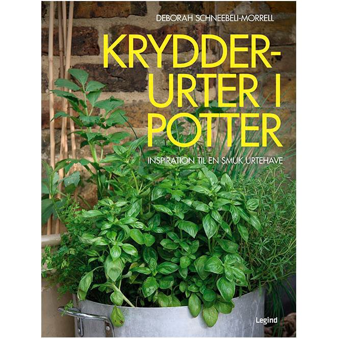 Krydderurter i potter