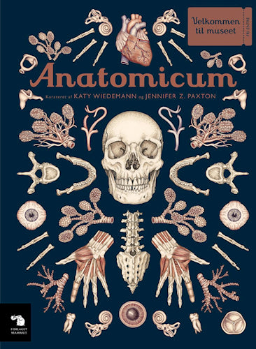 Anatomicum