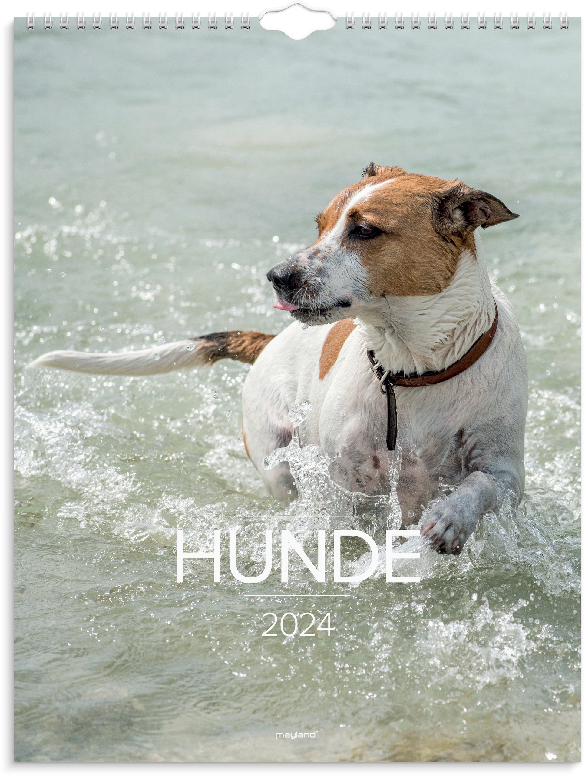 Vægkalender Hunde 2024