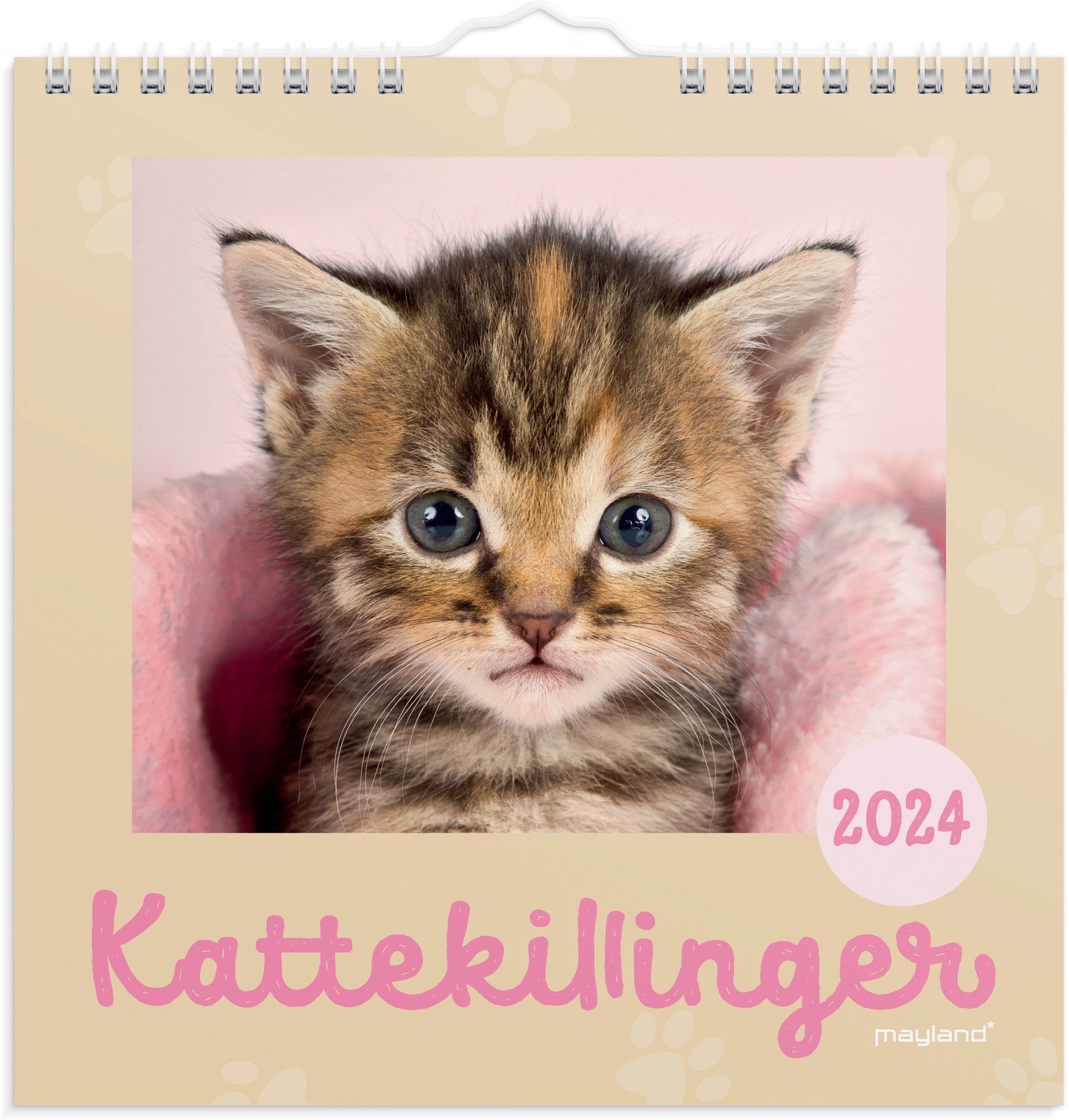 Vægkalender Kattekillinger 2024