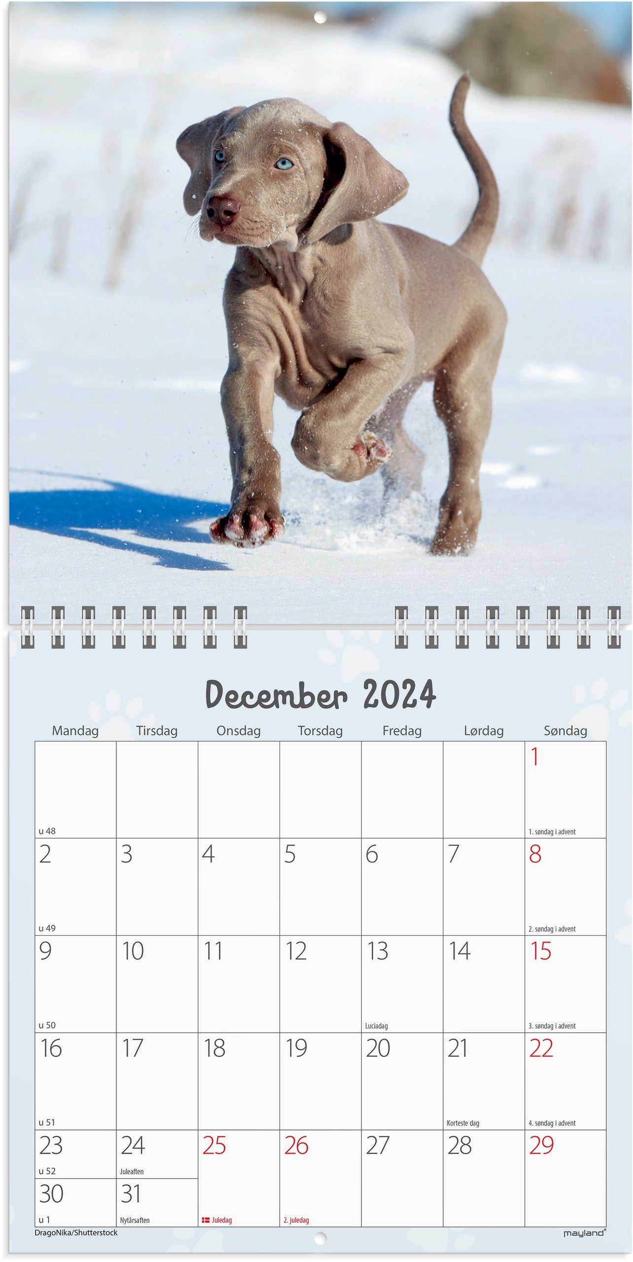 Vægkalender Hundehvalpe 2024