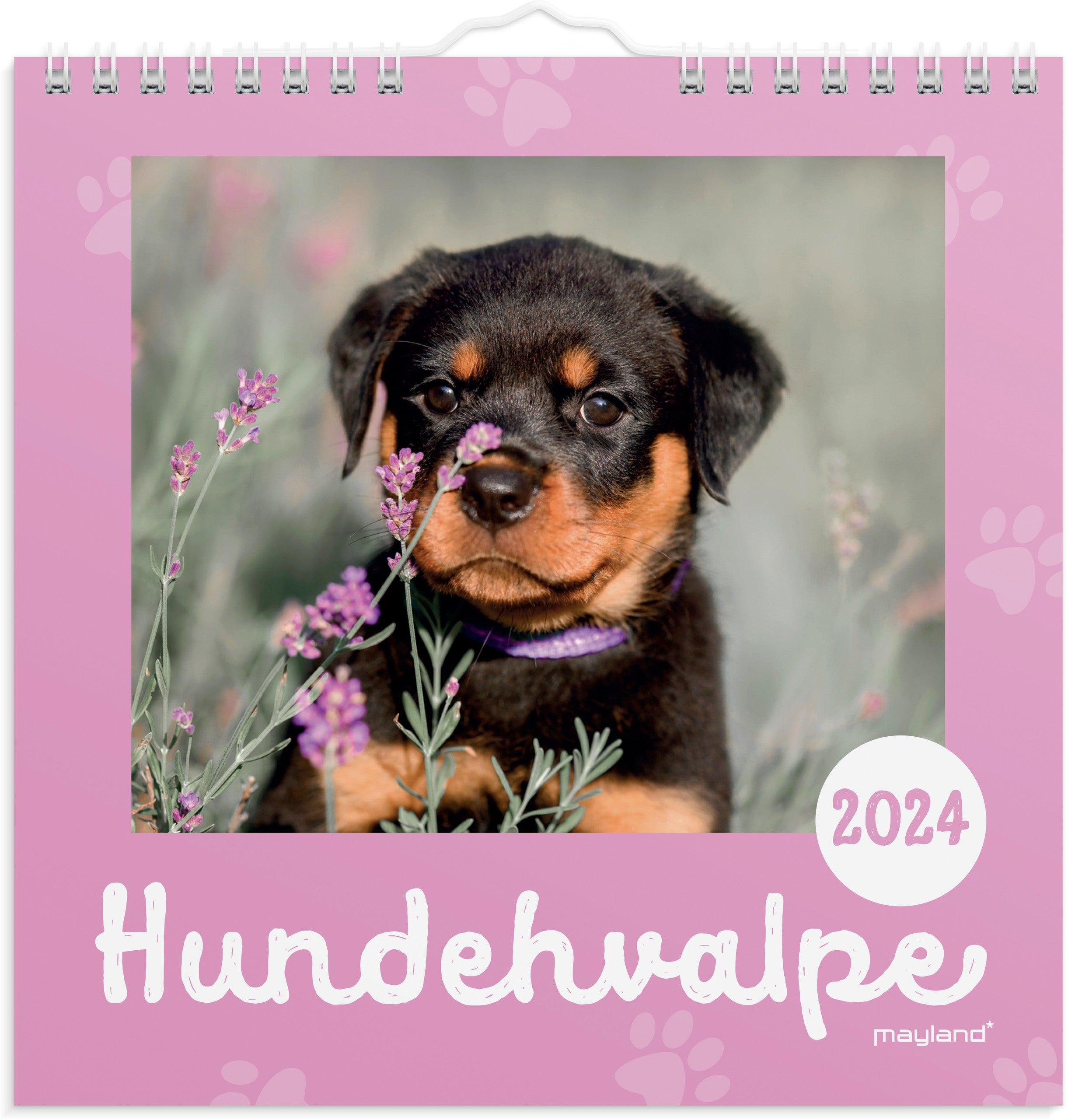 Vægkalender Hundehvalpe 2024