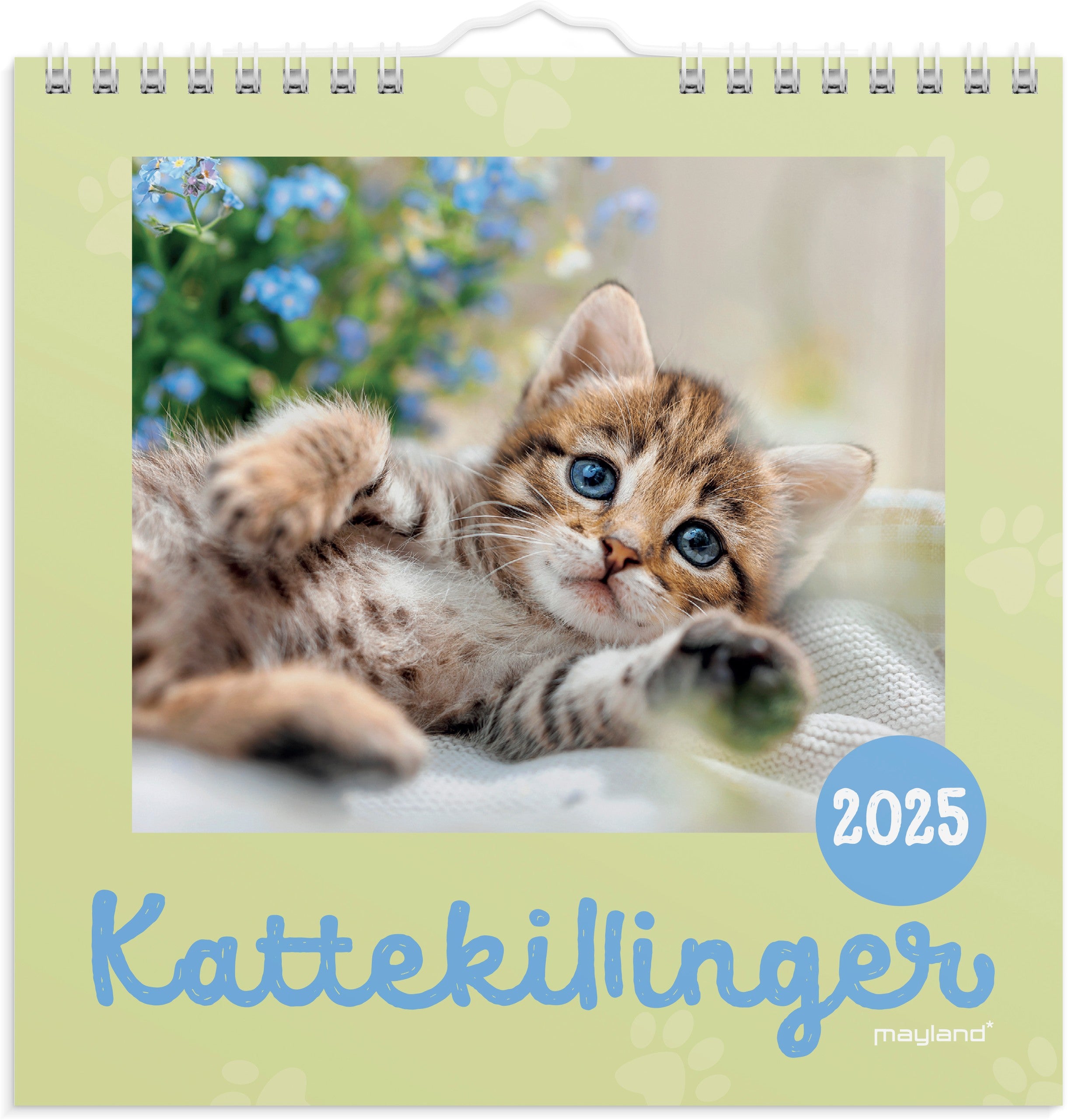 Vægkalender mini Kattekillinger 2025