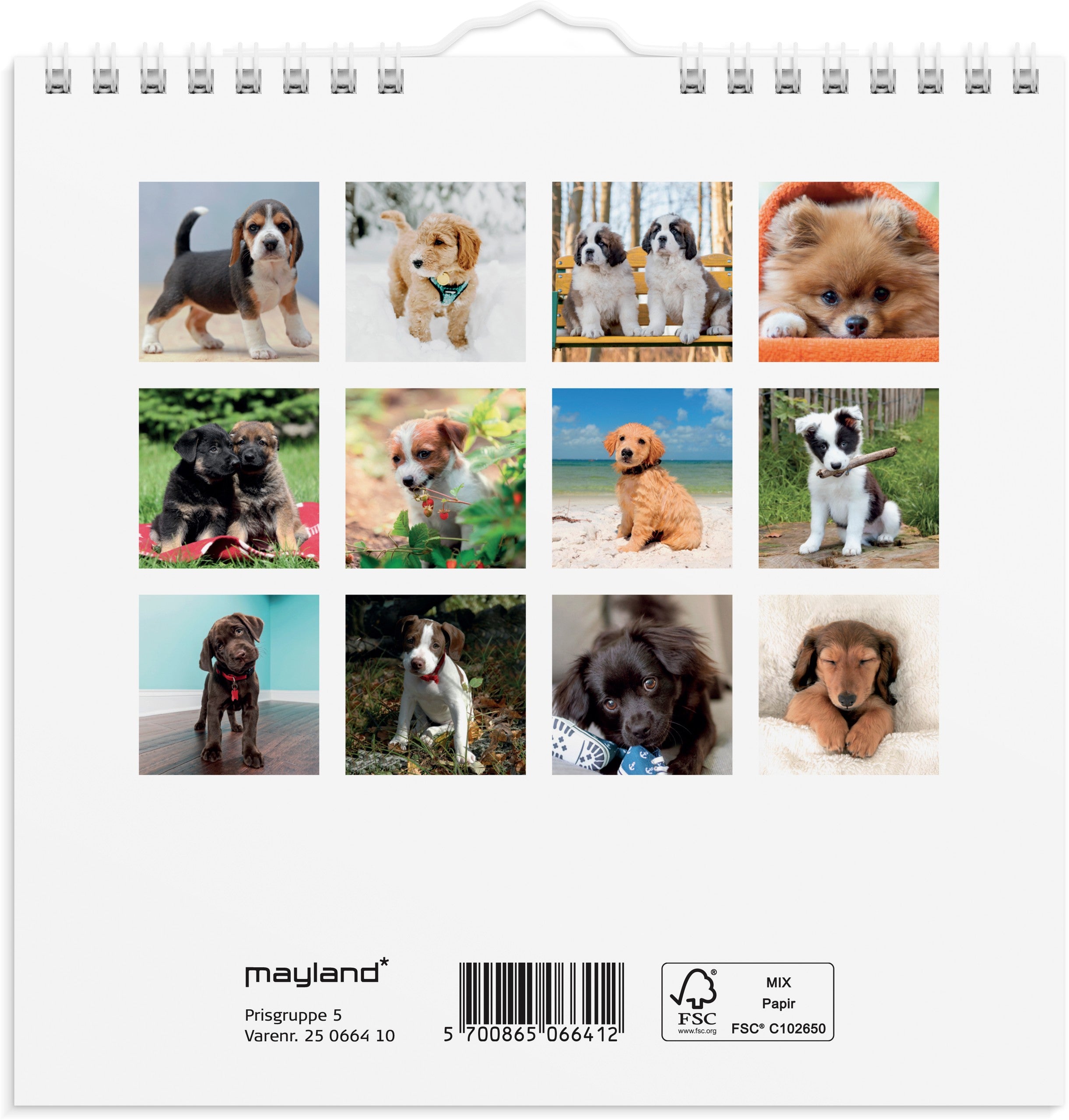 Vægkalender mini Hundehvalpe 2025