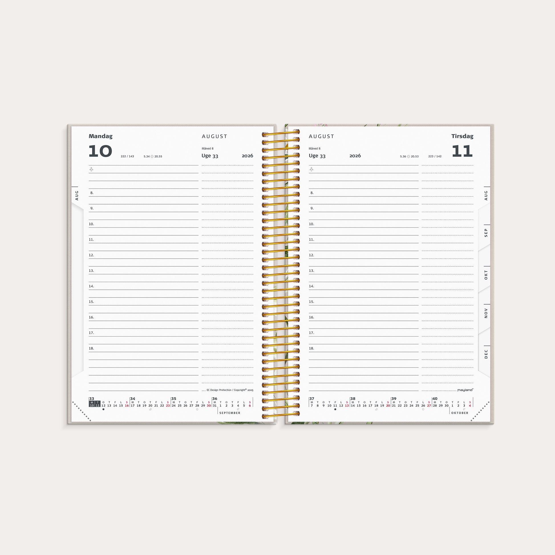 Studie Stor Story dagkalender 2026/2027
