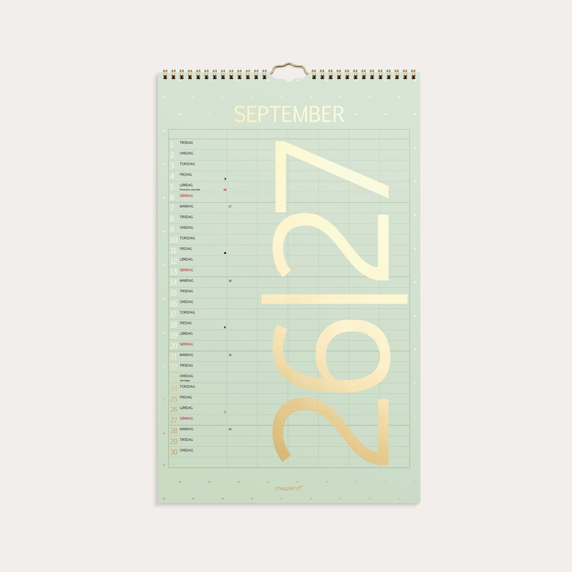 Studie Familiekalender Color 2026/2027