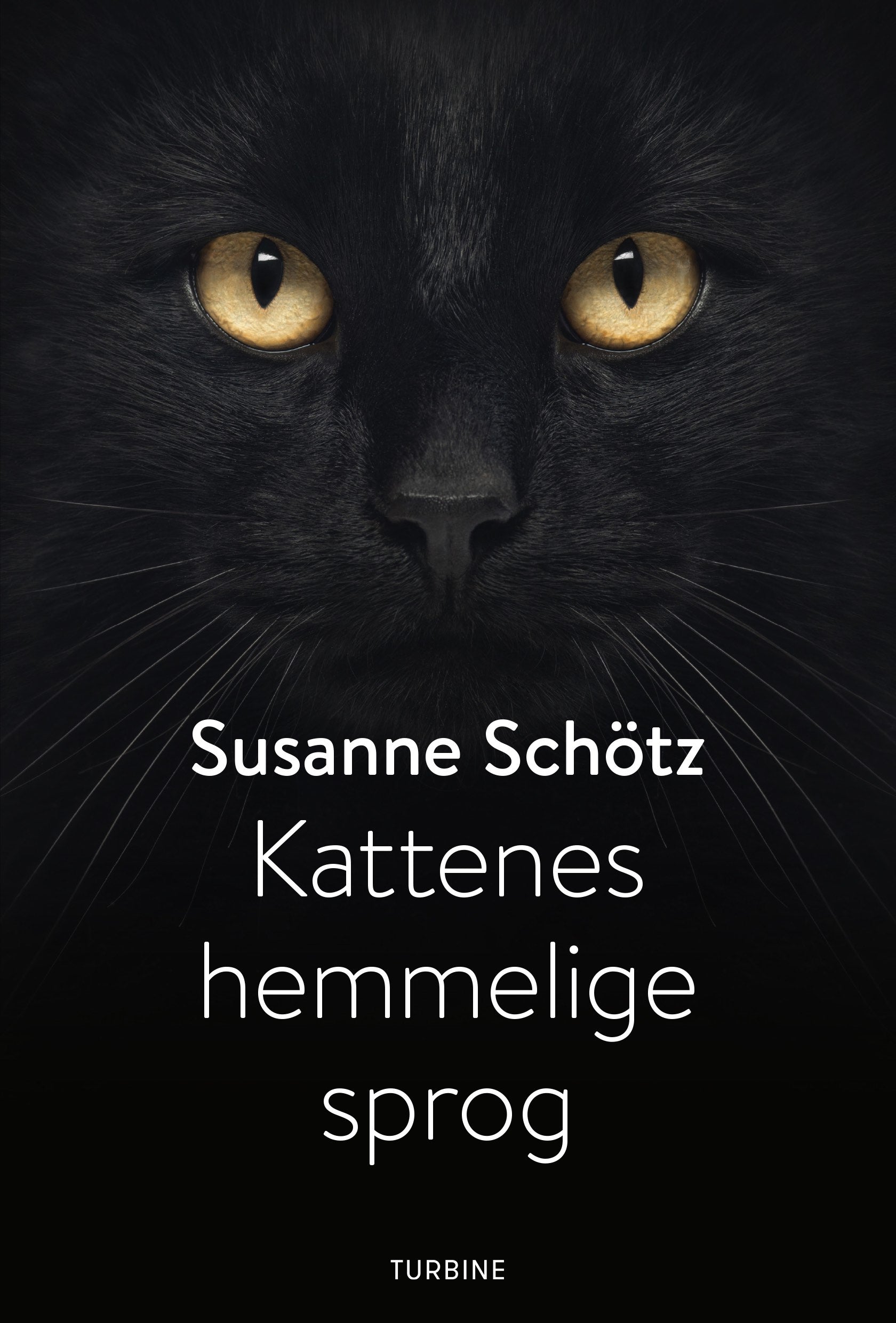 Kattenes hemmelige sprog