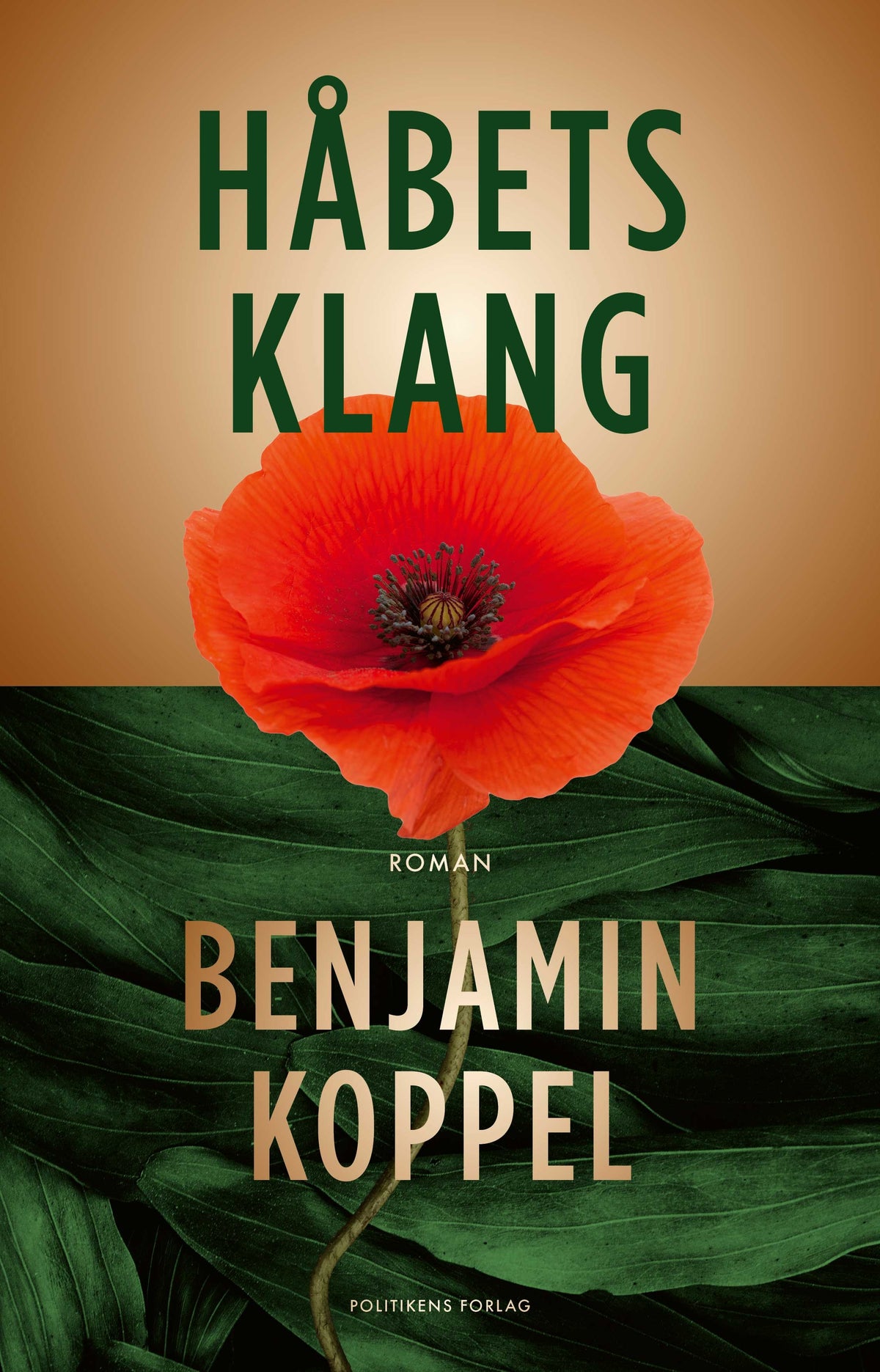 Håbets klang