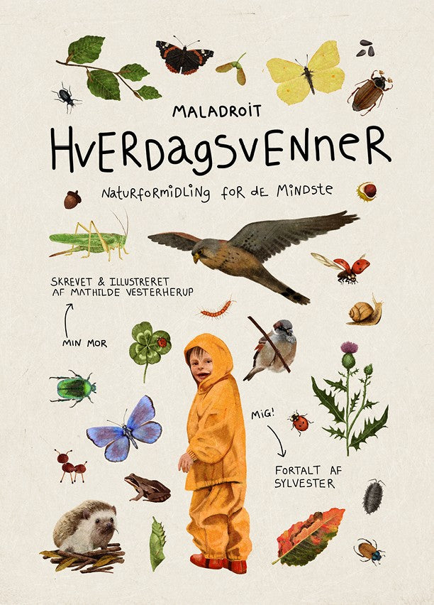 Hverdagsvenner: Naturformidling for de mindste