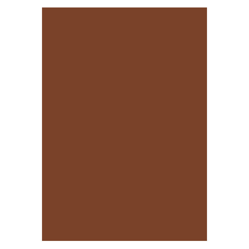 Karton A4 300g 10ark, Chokolade