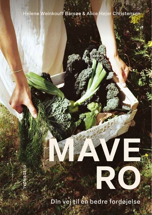 Mavero: Din vej til en bedre fordøjelse