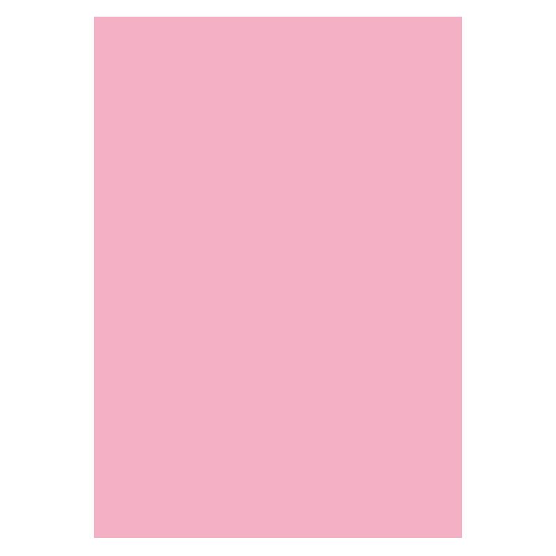 Karton A4 300g 10ark, Lyserød