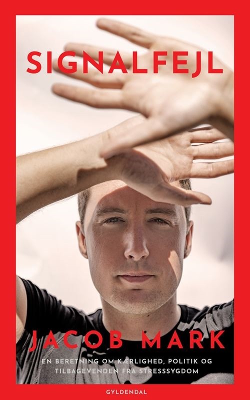 Signalfejl: En beretning om kærlighed, politik og tilbagevenden fra stresssygdom
