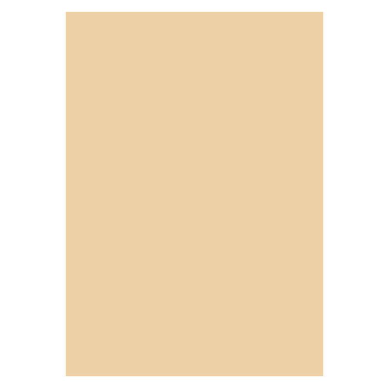 Karton A4 300g 10ark, Beige