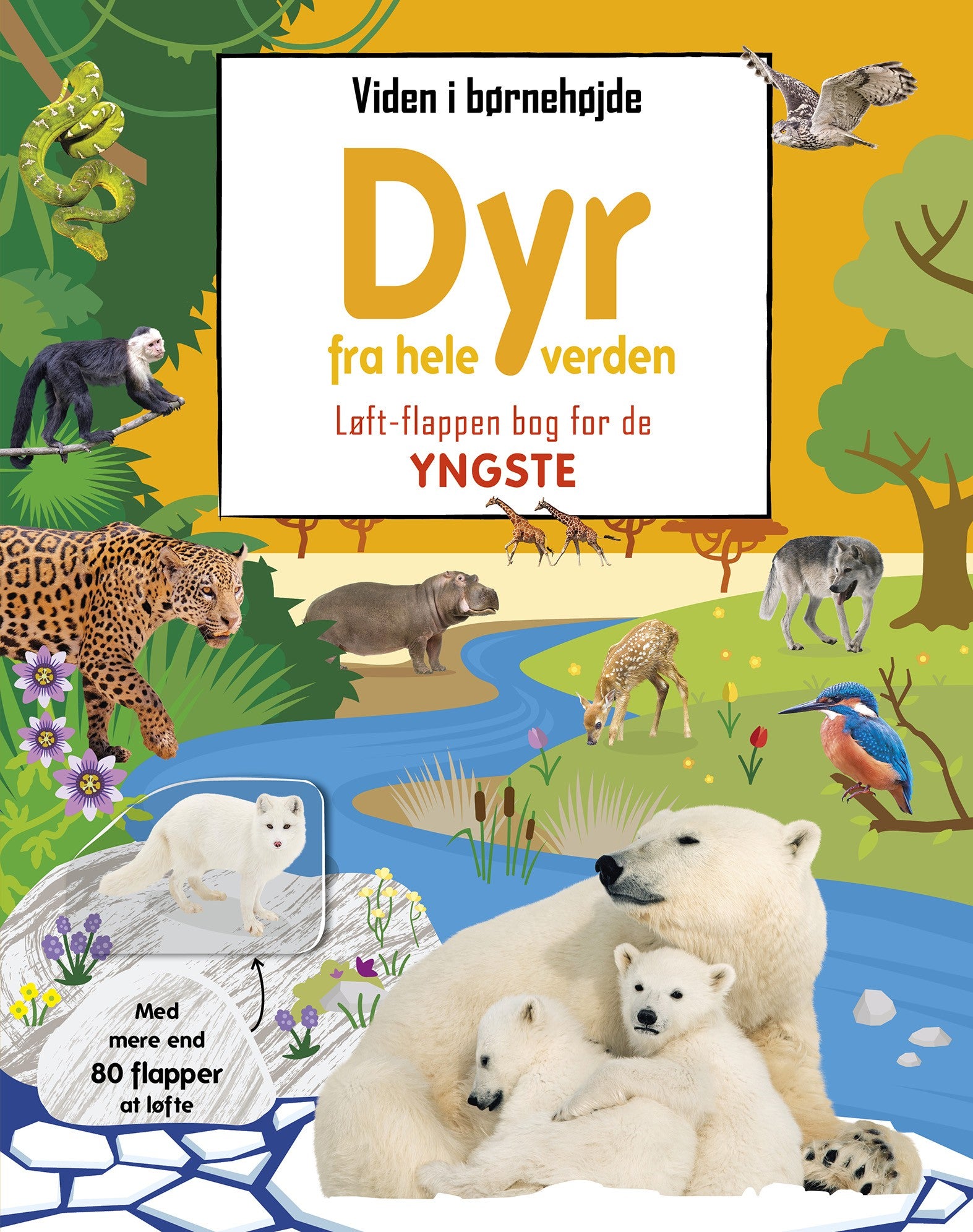 Viden i børnehøjde: Dyr fra hele verden - Løft flappen bog for de yngste